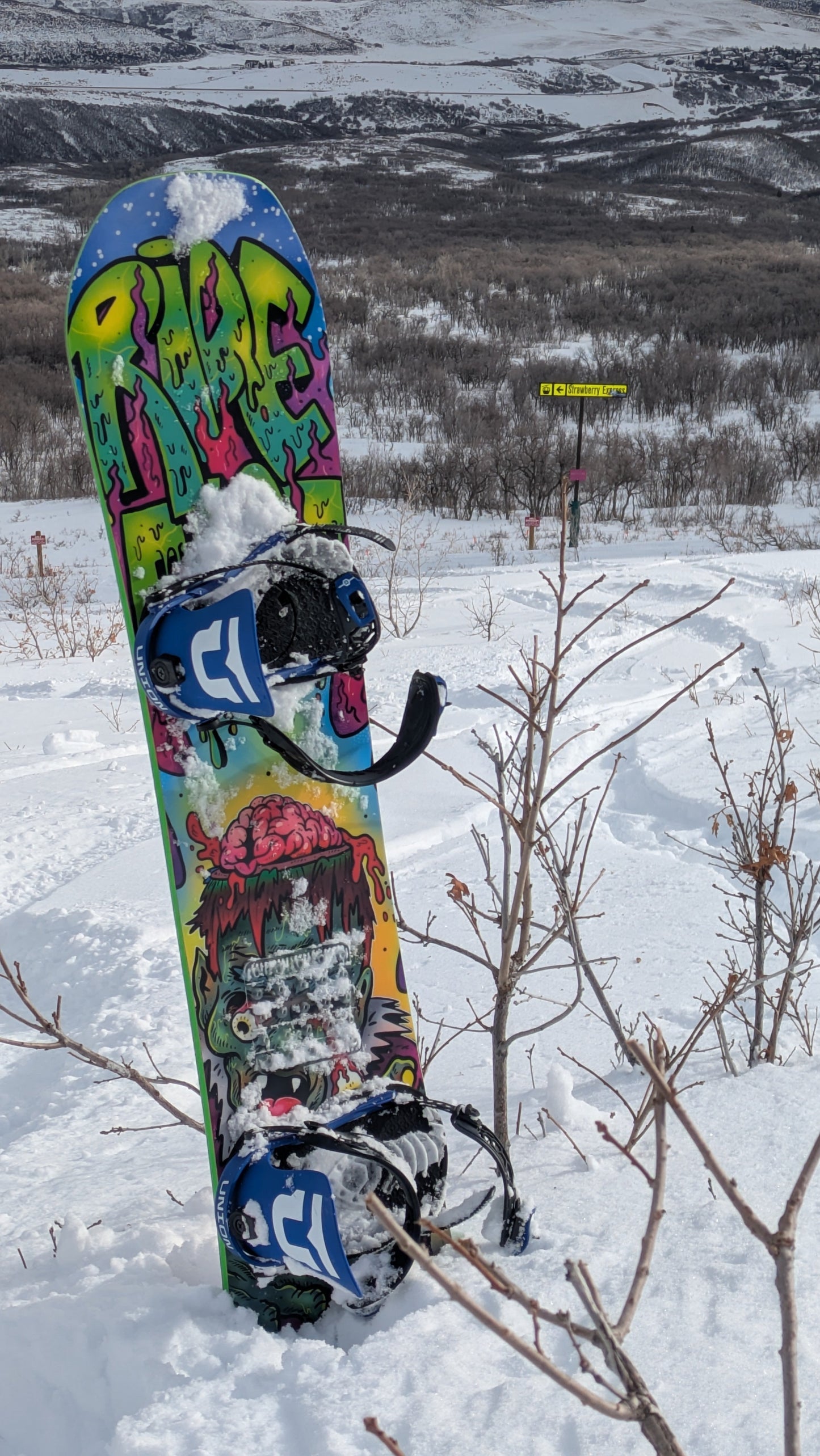 Women's Zombie Snowboard