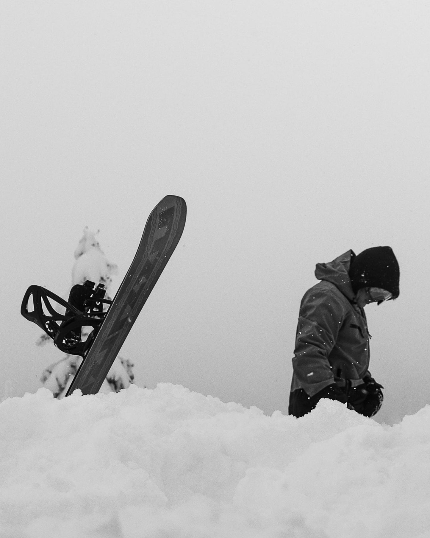 Women's MJW Snowboard