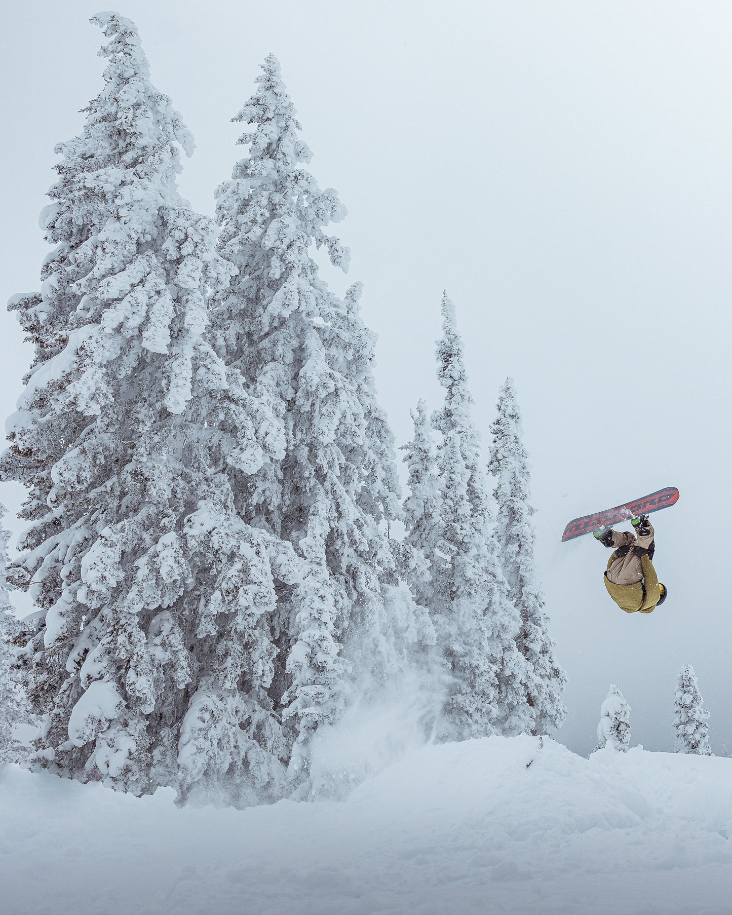Women's MJW Snowboard