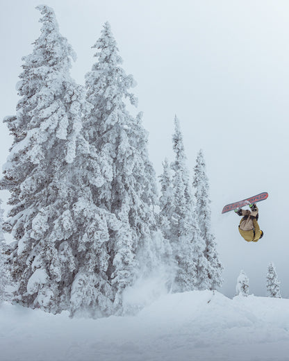 Women's MJW Snowboard