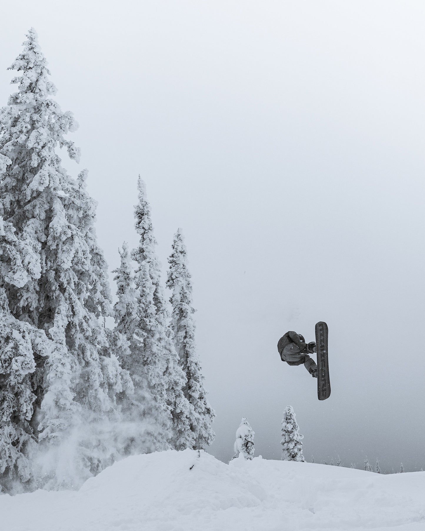 Women's MJW Snowboard