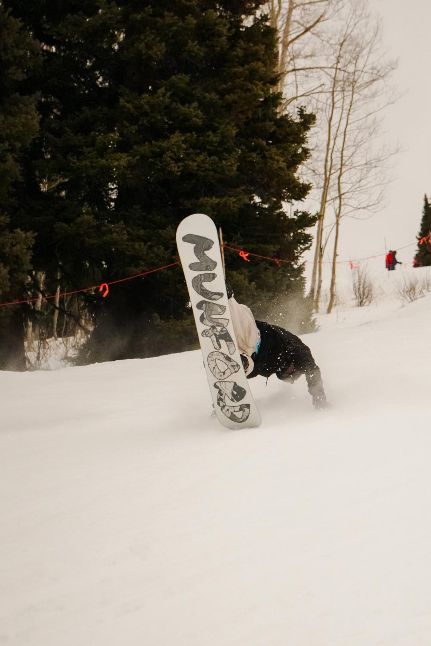 Kids' Signature Snowboard